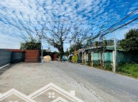 Bán Đất Mặt Tiền Đường Tân Thông Hội Củ Chi Sát Tỉnh Lộ 2 - 160M2 - Giá Bán 1Tỷ2- Chính Chủ Còn Tl