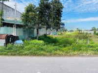 Bán Đất Mặt Tiền Đường Tân Thông Hội Củ Chi Sát Tỉnh Lộ 2 - 160M2 - Giá Bán 1Tỷ2- Chính Chủ Còn Tl