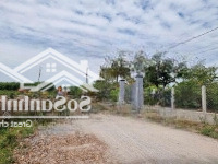 Lộc Ninh Dmc 5X59M Thổ Cư Đường 6M, Cách Nhựa, Trường Học 150M, 440 Triệu Thương Lượng