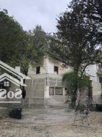 Cho Thuê Bt Lưu Hữu Phước, Mỹ Đình Nam Từ Liêm.diện Tích200M,Mặt Tiền10M, 4 Tầng. Giá Bán 50 Triệu. Liên Hệ: 0987190216