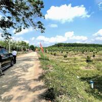 GD Bán đất chính chủ Bình Dương 300tr 250m2