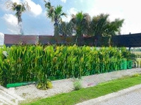 Đất Nền Giáp Bình Chánh Tphcm Kdc Dragon Pearl Xã Đức Hòa Đông Huyện Đức Hòa. Liên Hệ 0906843091