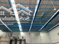 Cho Thuê Kho Xưởng Mới Đẹp Kcn An Phước - Long Thành - Đồng Nai 4600M2, 10.000M2, 18.000M2. Giá Tốt
