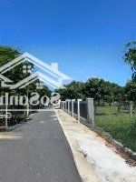 Quá Rẻ Đất Cam Hải Tây Cách Quốc Lộ 1A 200M Cực Đẹp Liên Hệ: 0369046253 Lợi(Zalo)