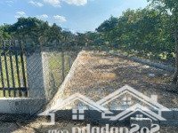 Quá Rẻ Đất Cam Hải Tây Cách Quốc Lộ 1A 200M Cực Đẹp Liên Hệ: 0369046253 Lợi(Zalo)