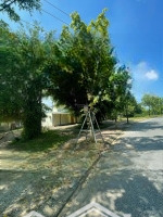 Bán Ô Đất 3100M2 Mặt Đường Lam Sơn Tp Vĩnh Yên, Vĩnh Phúc, Sẵn Sổ Công Chứng Liên Hệ: 0975676534
