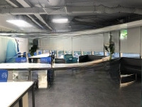 Cho Thuê Văn Phòng 190M2 - 350M2 - 500M2 Tại Tòa Nhà Việt Á - Duy Tân - Cầu Giấy. Giá Ưu Đãi
