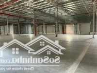 Cho Thuê Xưởng Từ 3200M2 Đến 22000M2 Kcn Trảng Bom. Liên Hệ: 0933725660