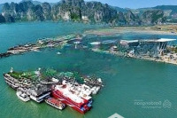 Cần Bán Gấp Lô Đất Nền Mặt Vịnh Bái Tử Long Giá Nét 24 Triệu/1M2