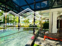 Bt 348M2 6 Phòng Ngủ,Vị Trí Trung Tâm Flamingo Resort, Sổ Lâu Dài, Vận Hành Kinh Doanh Tốt