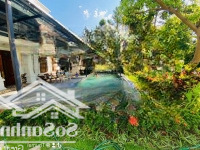 Bt 348M2 6 Phòng Ngủ,Vị Trí Trung Tâm Flamingo Resort, Sổ Lâu Dài, Vận Hành Kinh Doanh Tốt