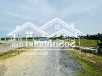 Bán Đất Làm Trang Trại, Nghỉ Dưỡng Tại An Phú, Củ Chi Diện Tích Lớn, Vị Trí Đẹp