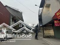 Một Lô Duy Nhất Chợ Gỗ Trắc Đang Lên Giá Từng Ngày.. Phù Khê - Từ Sơn - Bắc Ninh