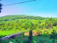 Bán Gần 7Ha,Có Hơn 300M Thổ Cư, +2200M Cln Và 6.8Ha Đất Rừng Sản Xuất, Tại Kim Bôi, Hòa Bình.