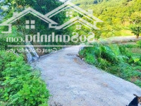 Bán Gần 7Ha,Có Hơn 300M Thổ Cư, +2200M Cln Và 6.8Ha Đất Rừng Sản Xuất, Tại Kim Bôi, Hòa Bình.