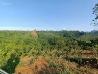 Bán Gần 7Ha,Có Hơn 300M Thổ Cư, +2200M Cln Và 6.8Ha Đất Rừng Sản Xuất, Tại Kim Bôi, Hòa Bình.