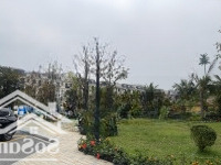 Bán Cắt Lỗ Shophouse Sao Biển 56M2 - Rẻ Nhất 7Tỷ6 - Sẵn Sổ - Ocean Park 2