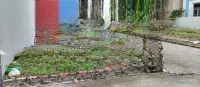 Bán Đất Tại Thụy Lâm, Đông Anh, Hà Nội, Giá Tốt 3,7 Tỷ, 73M2 Hot!