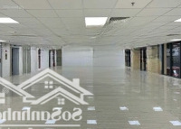 Gấp!!! Cho Thuê Tòa Nhà Mặt Tiền Đường 9-11 Đống Đa Phường 2 Quận Tân Bình