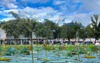 Chính Chủ Gửi Bán Nhiều Căn Nhà Phố Tại Park Riverside, Giá Từ 8,4 Tỷ/Căn. Liên Hệ: 0909121556