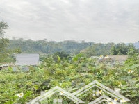 Cần Bán Nhanh Lô Đất Nghỉ Dưỡng View Triệu Đô Giá Hạt Rẻ