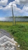 Chính Chủ Bán Đất Sổ 115M2 Full Thổ 5 X 23, Anh Em Sale Hoa Hồng, Kế Bên Công Viên 7 Kì Quan