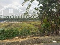 Bán Đất 116.6M2 Tại Xã Yên Bài, Ba Vì, Hà Nội, Giá Thỏa Thuận, Đẹp, Nhiều Tiện Ích Hot!