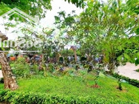 Bán Nhà Mặt Phố Tại Bông Sao, 16 Tỷ, 110M2, 6 Phòng Ngủ 5 Vệ Sinh Nhiều Tiện Ích Đẹp