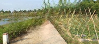 Diên Xuân Giá Bán 379 Triệu Giáp Sông Chò Diên Xuân