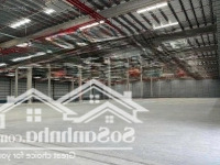 Cho Thuê Kho Xưởng Mới Trong Kcn Phú Mỹ, Bà Rịa Vũng Tàu 9000M2, 17.000M2, 35.000M2