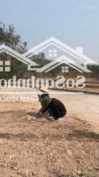 Bán Đất Tại Minh Trí, Sóc Sơn, Hà Nội, 16,5 Triệu/M2, 115 M2 Giá Tốt Uy Tín