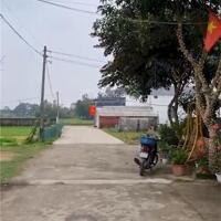 Bán Đất Tại Xã Nghi Thái, Nghi Lộc, Nghệ An, Giá Bán 10 Triệu / M2, Diện Tích 124 M2