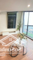 Chính Chủ Bán Căn Hộ 4 Ngủ Tầng Trung Hướng Mát Vinhomes Metropolis, Sổ Đỏ Sẵn Giao Dịch