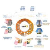 Sale Gốc Hổ Trợ Tư Vấn Pháp Lý, Tiến Độ Thi Công Và Csbh Của Các Căn Hộ Bcons Em Lượng: 0907.600687