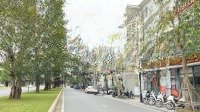 Shophouse Ngọc Trai 6 Rẻ Nhất Kinh Doanh Nhộn Nhịp Nhất Vinhomes Oceanpark 1 Gia Lâm