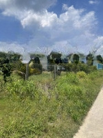 Bán Đất Vườn Đầu Tư, Nghỉ Dưỡng 145 Triệu