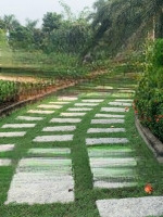 Nguồn Đất Lớn Tại Đường Phan Văn Đáng Nhơn Trạch Cần Bán Giá Tốt, Vị Trí Đẹp, Ngay Sông Lớn.