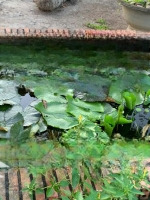 Nguồn Đất Lớn Tại Đường Phan Văn Đáng Nhơn Trạch Cần Bán Giá Tốt, Vị Trí Đẹp, Ngay Sông Lớn.