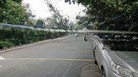 Bán Nhà Mặt Tiền Kinh Doanh Mọi Ngành Nghề Ngay Emark Quang Trung - Phan Huy Ích - 12,5Tỷ