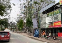 Bán Nhà Mặt Phố Kinh Doanh Vỉa Hè 30 Tỷ - 76M - Mat Tien 5.6M - Phố Quan Hoa