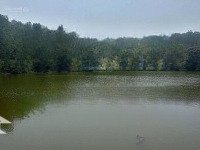 Đất Xuân Khánh, Tx Sơn Tây Thế Đất Cao Thoáng View Cánh Đồng Gần Hồ Nhìn Ra Đườngcó Thương Lượng413 Tc Hơn 2X