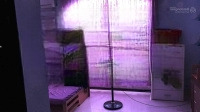 Xe Hơi Ngủ Trong Nhà-Đẹp Ở Ngay-71M2-Ngang 5M-4Tầng-4Pn-Phạm Văn Chiêu Gv-Chỉ 7,65 Tỷ Tl