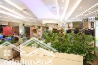 Cho Thuê Mặt Bằng Kinh Doanh Phố Huỳnh Thúc Khángdiện Tích60M2, Mặt Tiền 8M, Giá Thuê 70 Triệu. Mọi Mô Hình