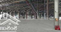 Nhà Xưởng Kcn Thái Bìnhdiện Tích1.000M-15Hecta Giá 50K/M2,Pccc Tiêu Chuẩn, Sx Nhiều Ngành Nghề