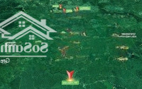 Nhận Booking 50 Triệu/1 Suất Vinhomes Hậu Nghĩa Cơ Hội Đầu Tư Bức Phá