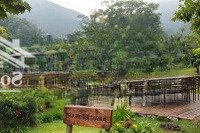 Làng Oa - Aman Đất Nền Nghỉ Dưỡng 1000M2 Giá Chỉ Hơn 1.X/M2