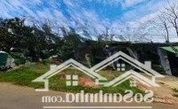 Kẹt Tiền Bán Nhanhmặt Tiềnvõ Văn Kiệt Ngay Ubnd X. Hồ Thị Kỷ Thới Bình Cà Mau. 120M2 Shr, Sang Tên