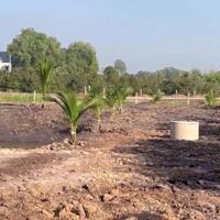 Cho thuê đất hoặc hợp tác làm trang trại tại xã Thái Mỹ, huyện Củ Chi, TP.HCM