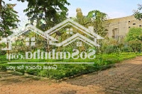 Chuyển Nhượng Da Xây Building, Bệnh Viện, Khách Sạn 9200M2 -Mặt Tiền65M Mặt Phố Lê Trọng Tấn Hà Đông
