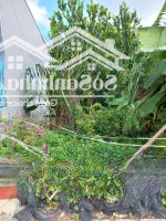 1,280Ty/5X21 Sổ Riêng,Hẻm 1 Xec Ô Tô, Kdc Hiện Hữu Cách Quận 2 Chỉ 5Km Gần Trường, Chợ